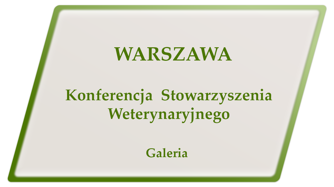 warszawa stowarzyszenia